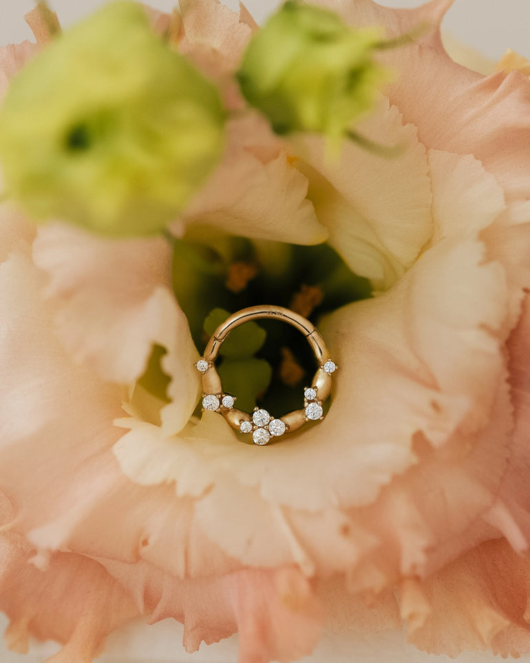 Fleur Daith Gelbgold in Blume