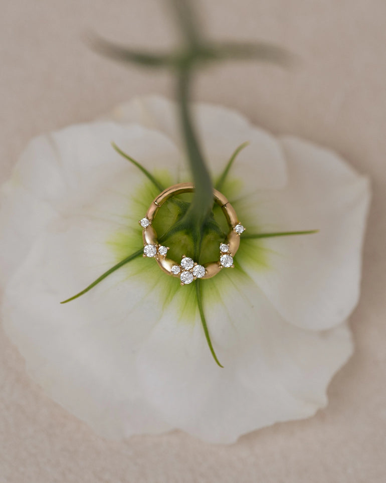 Fleur Daith auf einer Blume