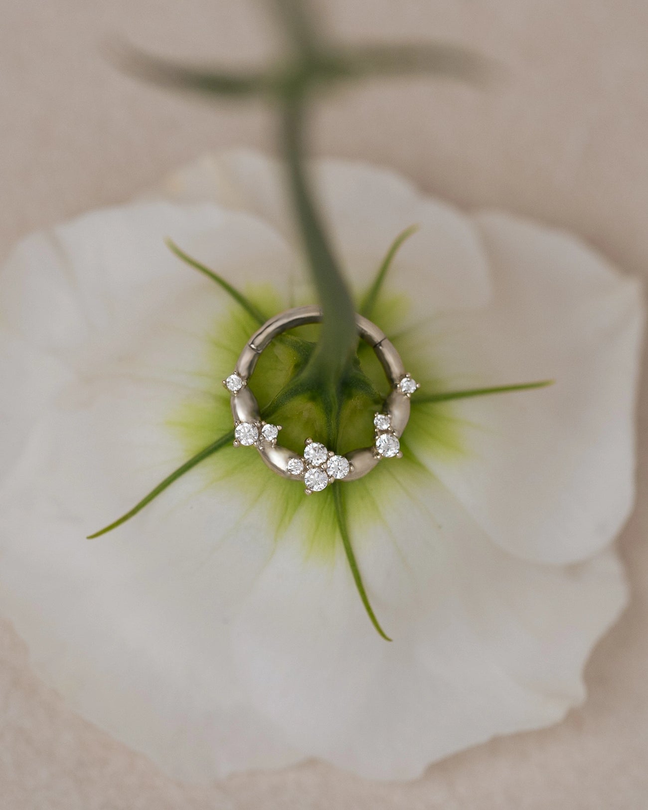 Fleur Daith Weißgold auf einer Blume