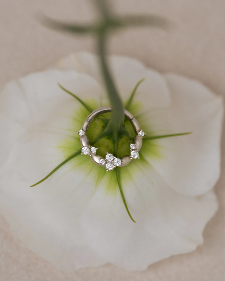 Fleur Daith Weißgold auf einer Blume