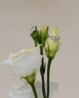 Mondstein Clicker Ringe in Weißgold auf Blume