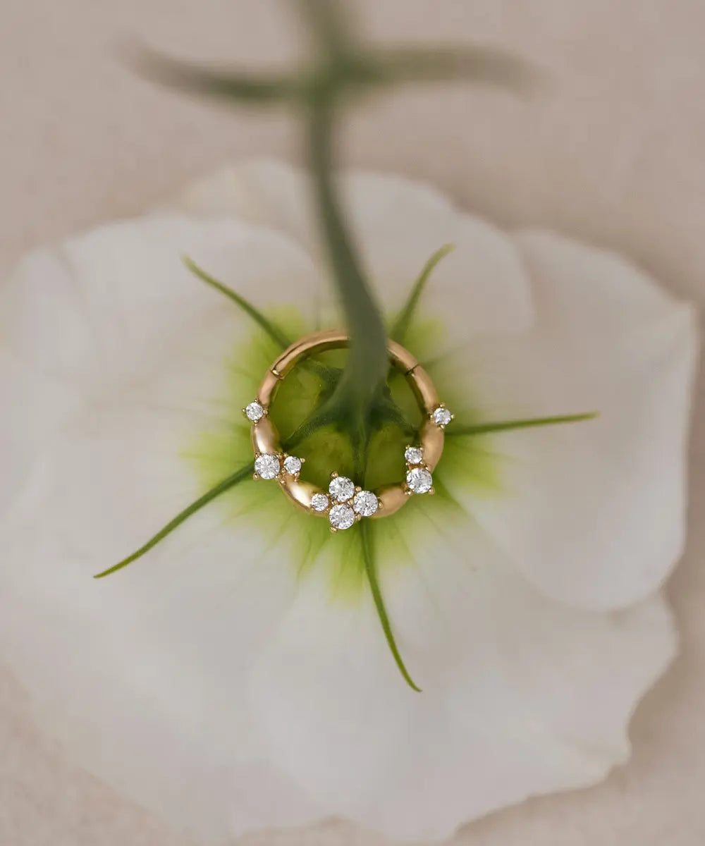 Daith Piercing Gold auf einer Blume