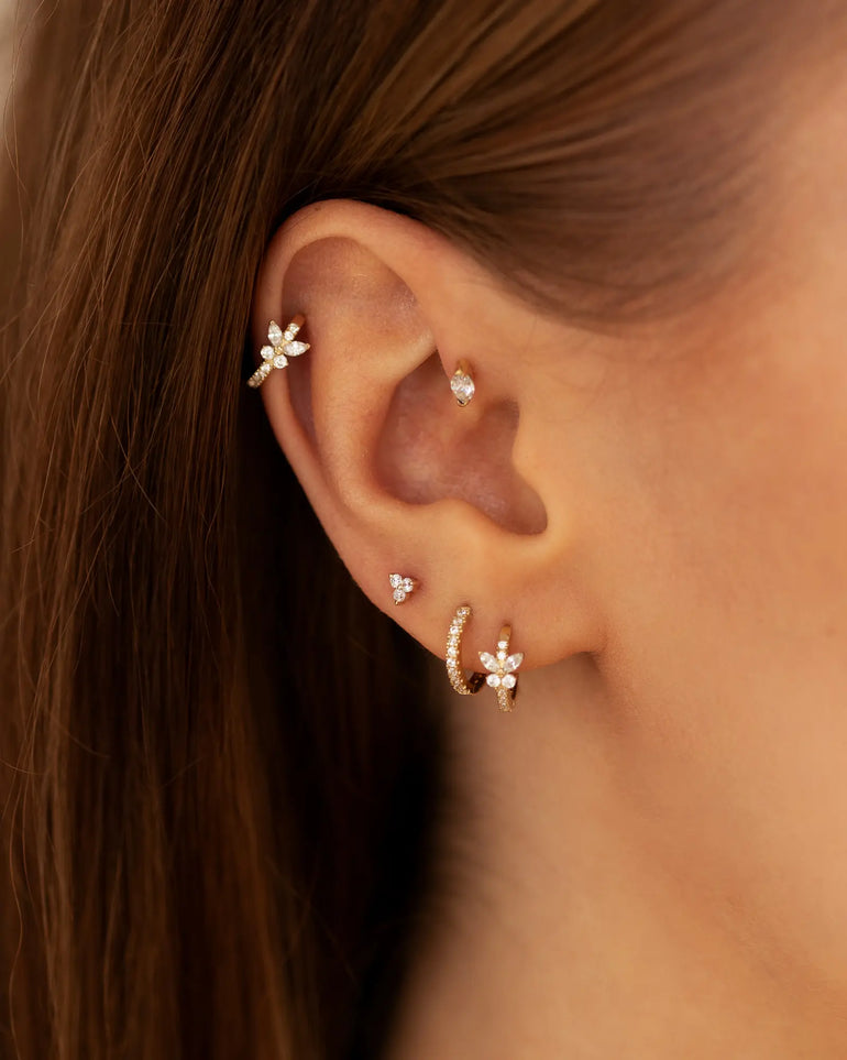 Schmetterling Creole