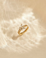 Schmetterling Creole in Gold steht auf einer Fläche