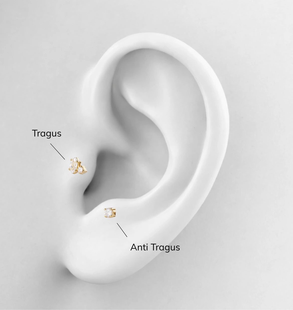 Tragus Piercing und Anti Tragus Piercing Position am Ohr